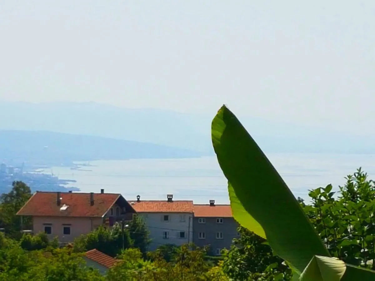 Penthouse Jacuzzi & Pool Apartmants Opatija 0*,  Croatia